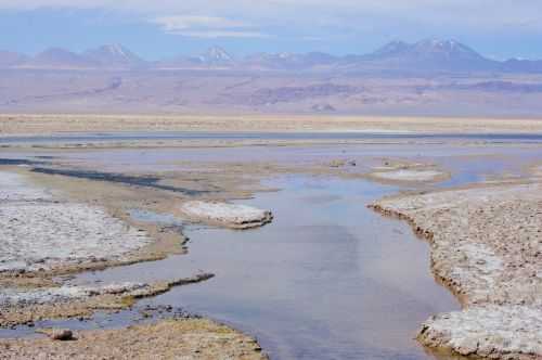 TREKKING NEL DESERTO DI ATACAMA 2015